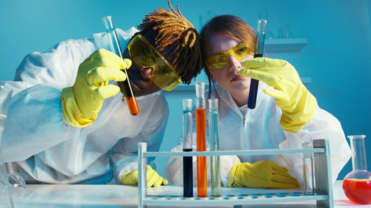 disruptores endocrinos