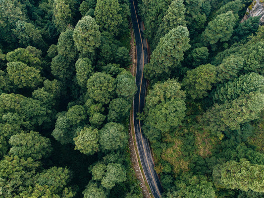 Industry's Role in Sustainability
